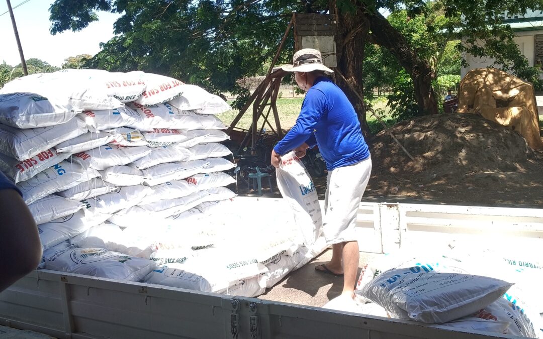 HAULING OF HYBRID RICE IN DA-PREC STA BARBARA