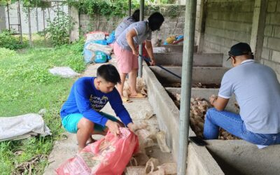 VERMICULTURE ACTIVITIES
