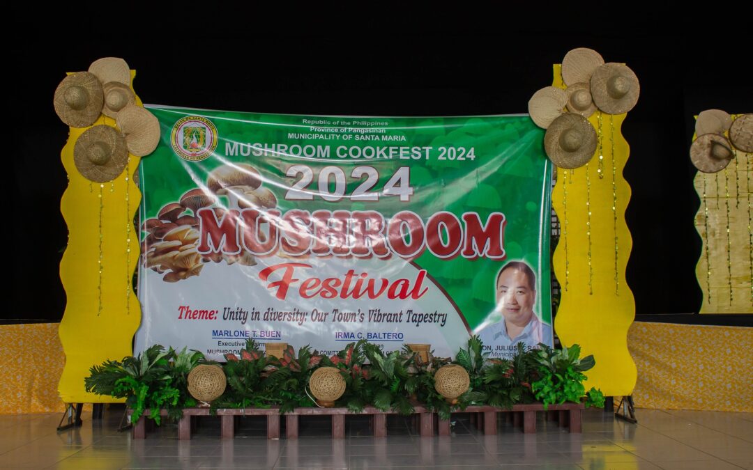 MUSHROOM FESTIVAL 2024: MUSHROOM COOKFEST