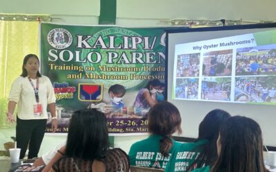 Kalipi / Solo Parent Training